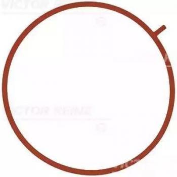 71-10756-00 Victor Reinz Gasket
