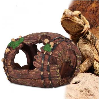 Scorpion Barrel Hide Cave