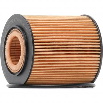 RIDEX Oljefilter för FIAT och MINI