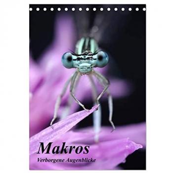 Makros