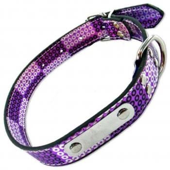 Colgante PetTrade 50 cm, Placa y Colores Variados