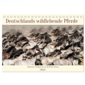 Deutschlands wildlebende Pferde (Tischkalender 2025 DIN A5 quer) CALVENDO Monatskalender