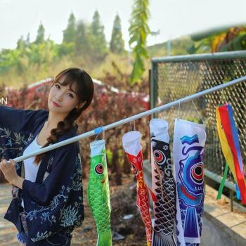 70cm Carp Wind Sock Decoration