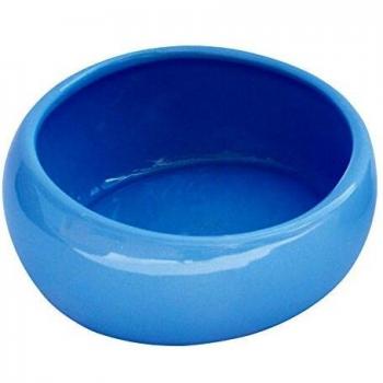 AzureEase Large Dining Bowl