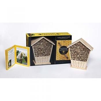 Coffret sauvons les abeilles
