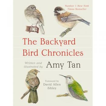 The Backyard Bird Chronicles