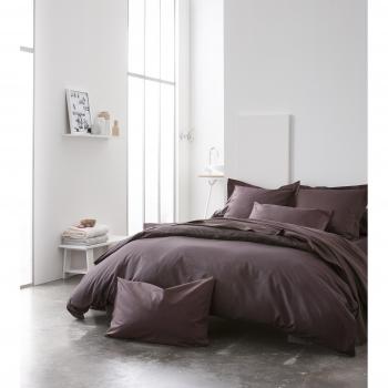 Nuit Cacao 100% Coton 240x260