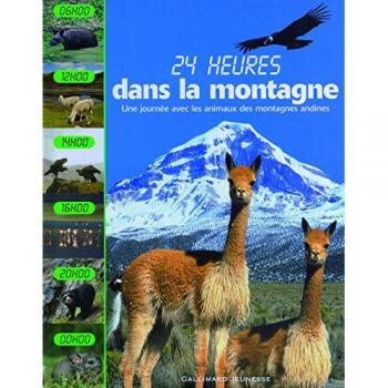 24 heures dans la montagne : une journée avec les animaux des montagnes andines