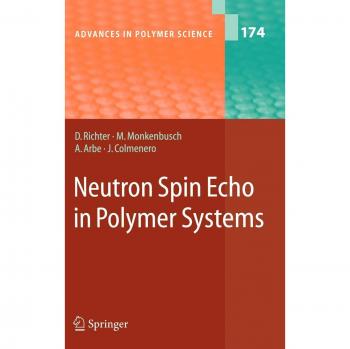 Neutron Spin Echo in Polymer Systems