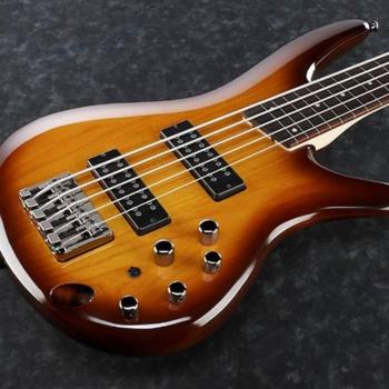 Ibanez SR375E Fretless 5-String Bass
