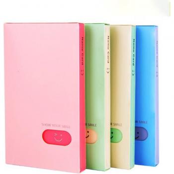 Compact ID and Business Card Storage