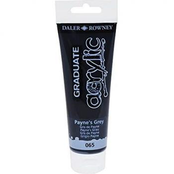 Colore acrilico fine Graduate tubo 120ml Grigio Payne 065 Daler Rowney