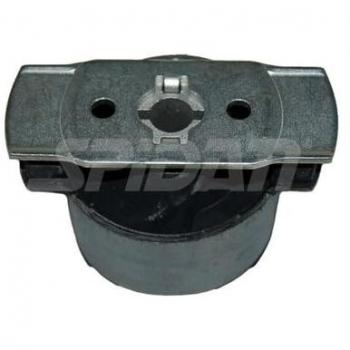 SPIDAN Lagerung Achskörper RENAULT 411720