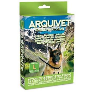 Formato Petral 25‑40 cm – Archivio