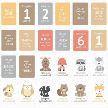24 Tarjetas de Hitos del Bebé y Embarazo
