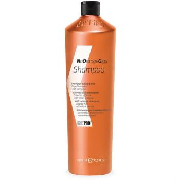 Shampoo per Capelli Colorati Kay Pro No Orange Gigs 1000 ml