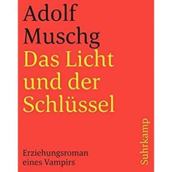 Das Licht und der Schlüssel: Erziehungsroman eines Vampirs (suhrkamp taschenbuch)