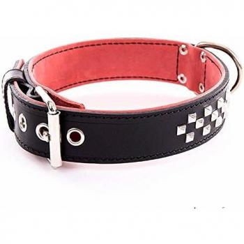 Martin Sellier Collier Cuir Chien Molosse 70 cm Noir