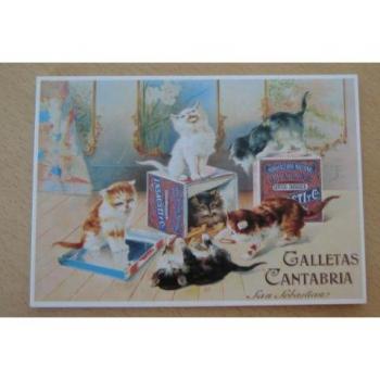 Mini Cantabrias Cards – 10x15 cm