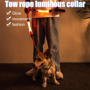 Flashing LED Dog Collar for Nighttime Safety