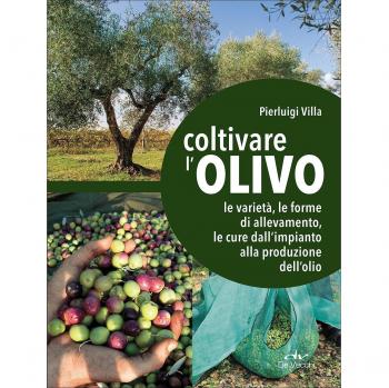 Coltivare l'olivo. Dall'impianto alla produzione dell'olio