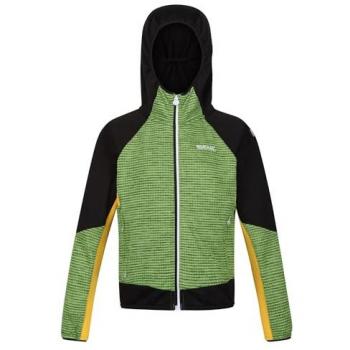 Chaqueta de Trekking Regatta Prenton II para Niños, Color Verde Lima