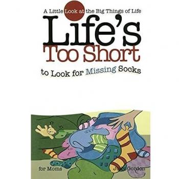 Life's too Short to Look for Missing Socks: A Little Look at the Big Things in Life