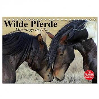 Wilde Pferde. Mustangs in USA (Tischkalender 2025 DIN A5 quer) CALVENDO Monatskalender