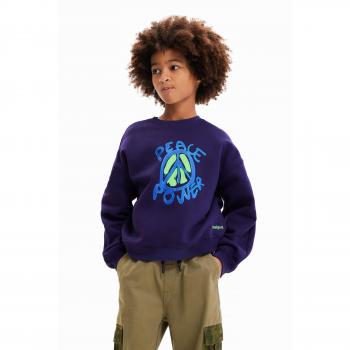 Desigual Arthur Junior Blue Long-Slee Shirt