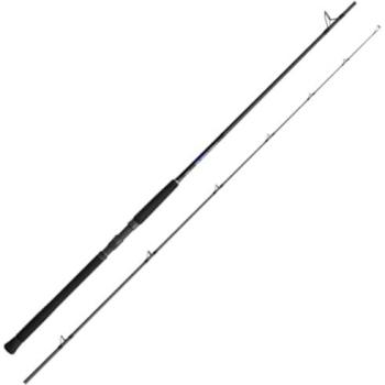 Shimano Spinning Rod 3.05 m Black – Model S100MH (Unisex)