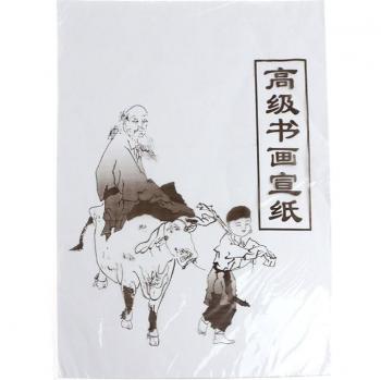 30 Pcs Raw Xuan Paper for Calligraphy and Painting 49x34cm / 35x26cm