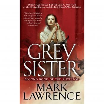Grey Sister (Book of the Ancestor, Band 2)