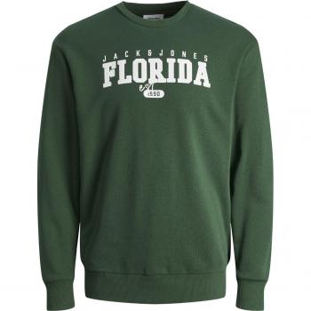 Sudadera de niño Jack & Jones Cory