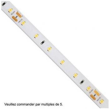 Ruban LED Blanc Froid