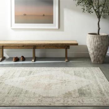 Livabliss Becki Owens Luca Olive Woven Rug – Green, 4′ × 6′ (120 cm × 170 cm)