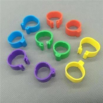 Bird Leg Bands 8mm