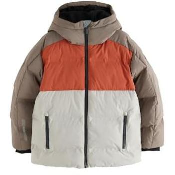 Chaqueta Next de Invierno Marrón
