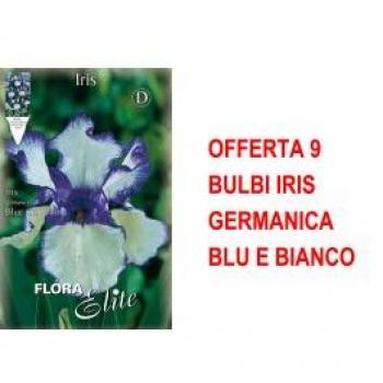 Bulb Set: Iris Germanica Blu e Bianco