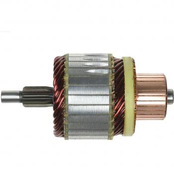 AS-PL Starter Armature SA5013