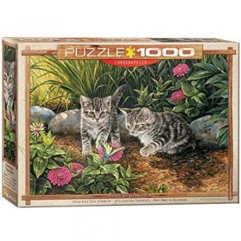Double Trouble Kitten Puzzle (1000-Piece, Multi-Colour)
