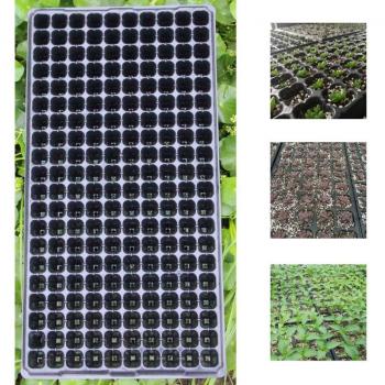 Extra Strength Seedling Starter Tray