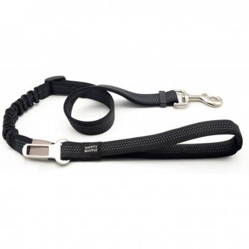 Retractable Bungee Leash for Dogs