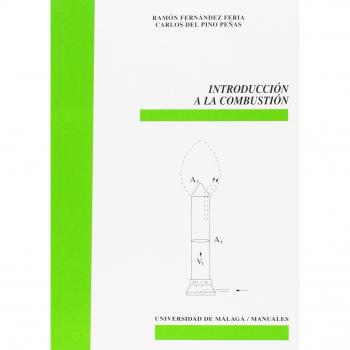 Introducción A La Combustión