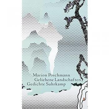 Geliehene Landschaften: Lehrgedichte und Elegien