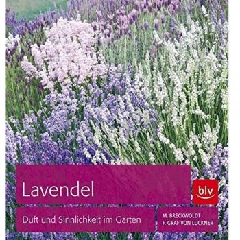 Lavendel: Duft und Sinnlichkeit im Garten