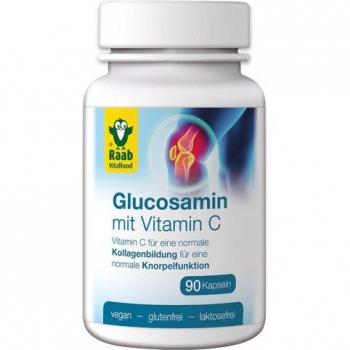 Raab Vitalfood Glucosamine Complex 90 Capsules