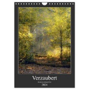 Verzaubert. Bremens schönste Orte (Wandkalender 2024 DIN A4 hoch) CALVENDO Monatskalender