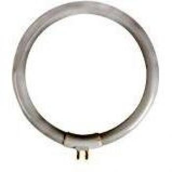 Tubo fluorescente circolare 12W