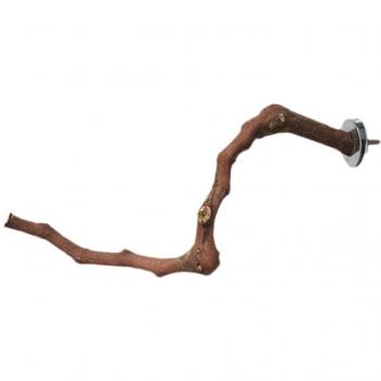 Perchas para periquito