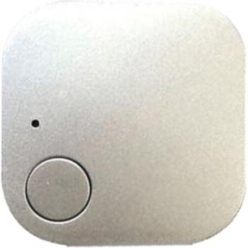 Smart Keychain Tracker for Pets and Kids